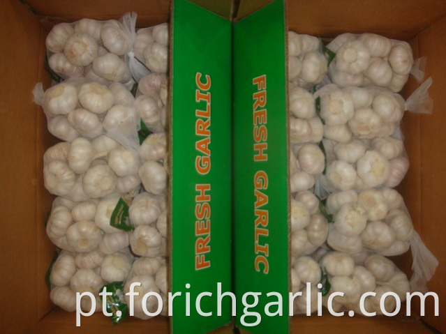 500g Normal White Garlic